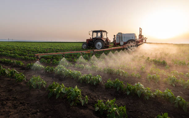 Best Pest Control Cost  in Lorane, PA