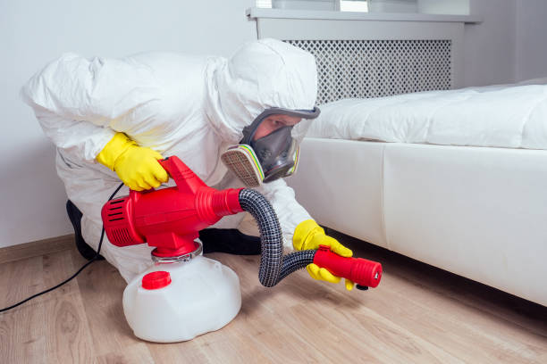Professional Pest Control in Lorane, PA