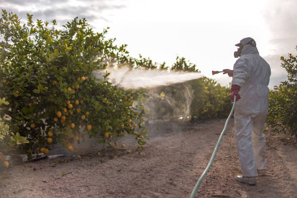 Best Affordable Pest Control Services  in Lorane, PA