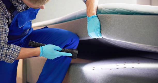 Pest Control Cost in Lorane, PA