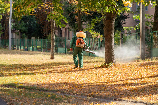 Best Residential Pest Control  in Lorane, PA
