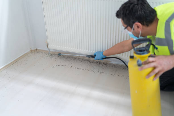 Best Ant Control Services  in Lorane, PA